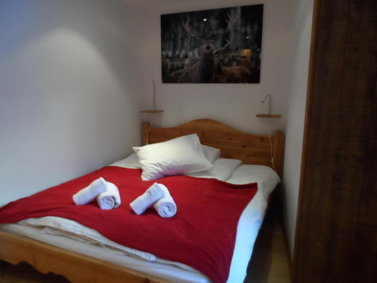 Prachtig Familie Appartement Voor 6 Personen In Het Hart Van Argentiere, Chamonix Mont-Blanc Εξωτερικό φωτογραφία